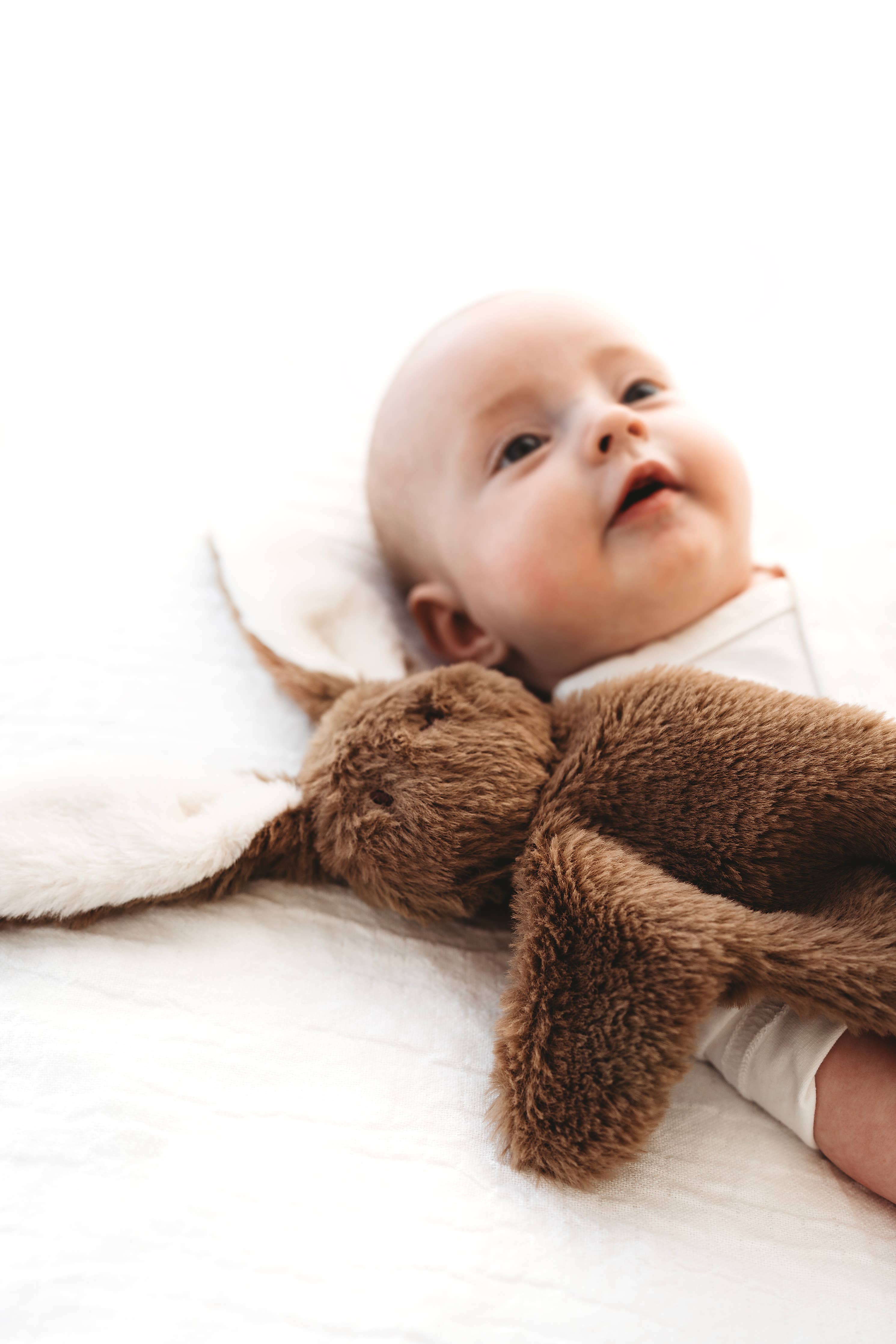 Brown Bunny snuggle bear