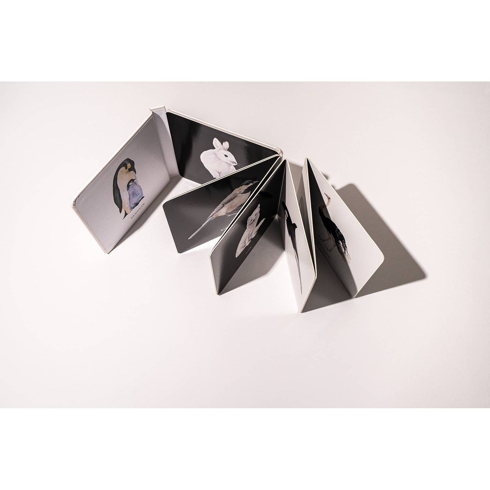 Black and White Contrast Book for Baby