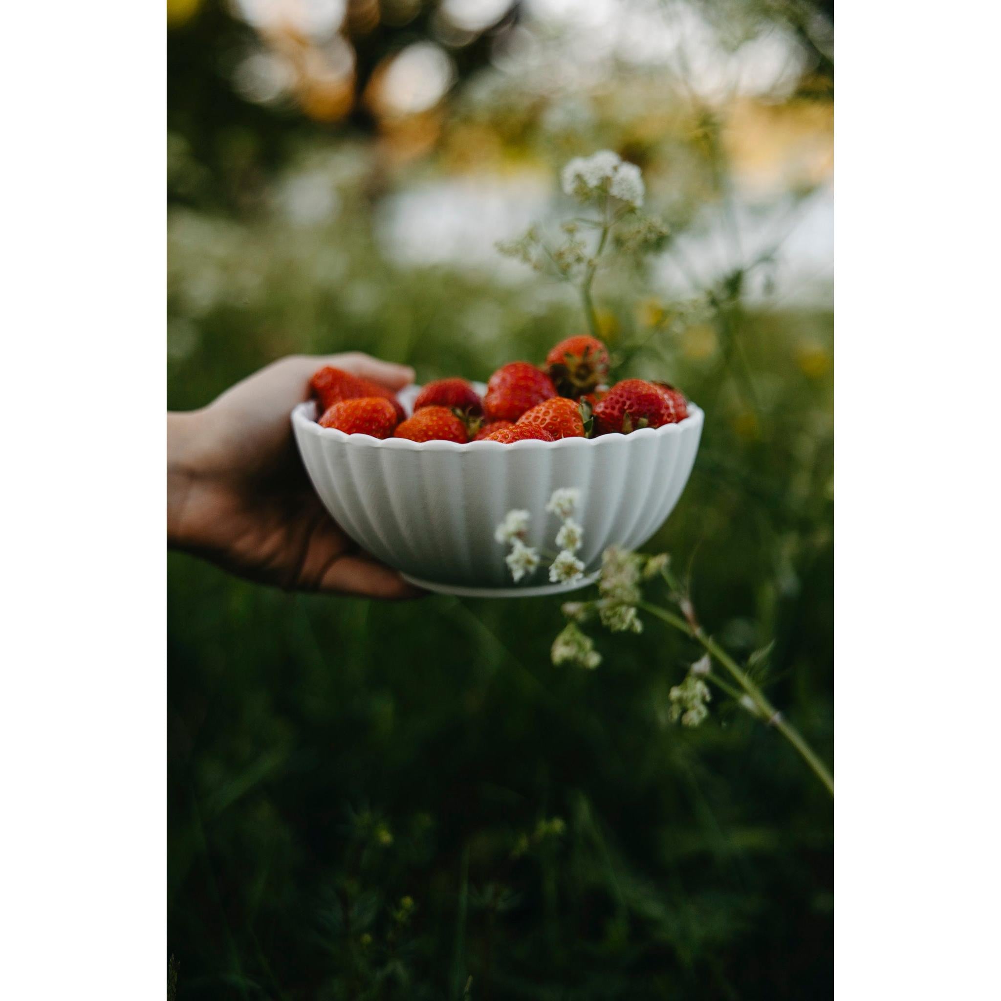 Alba Bowl - TheGiftCoMalta