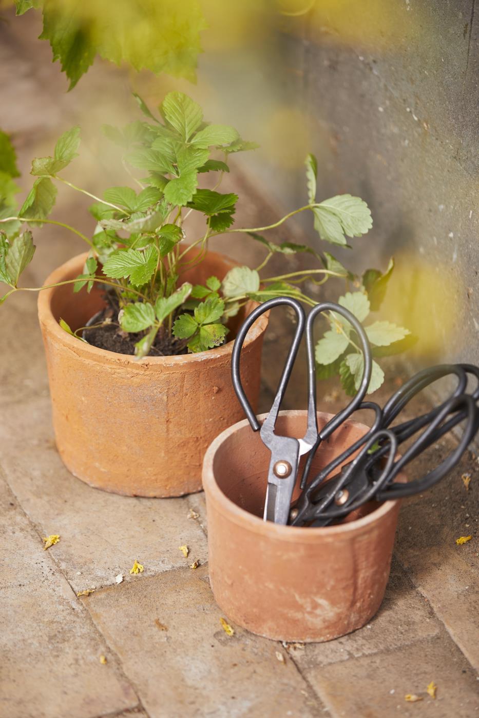 Small Scissors - TheGiftCoMalta