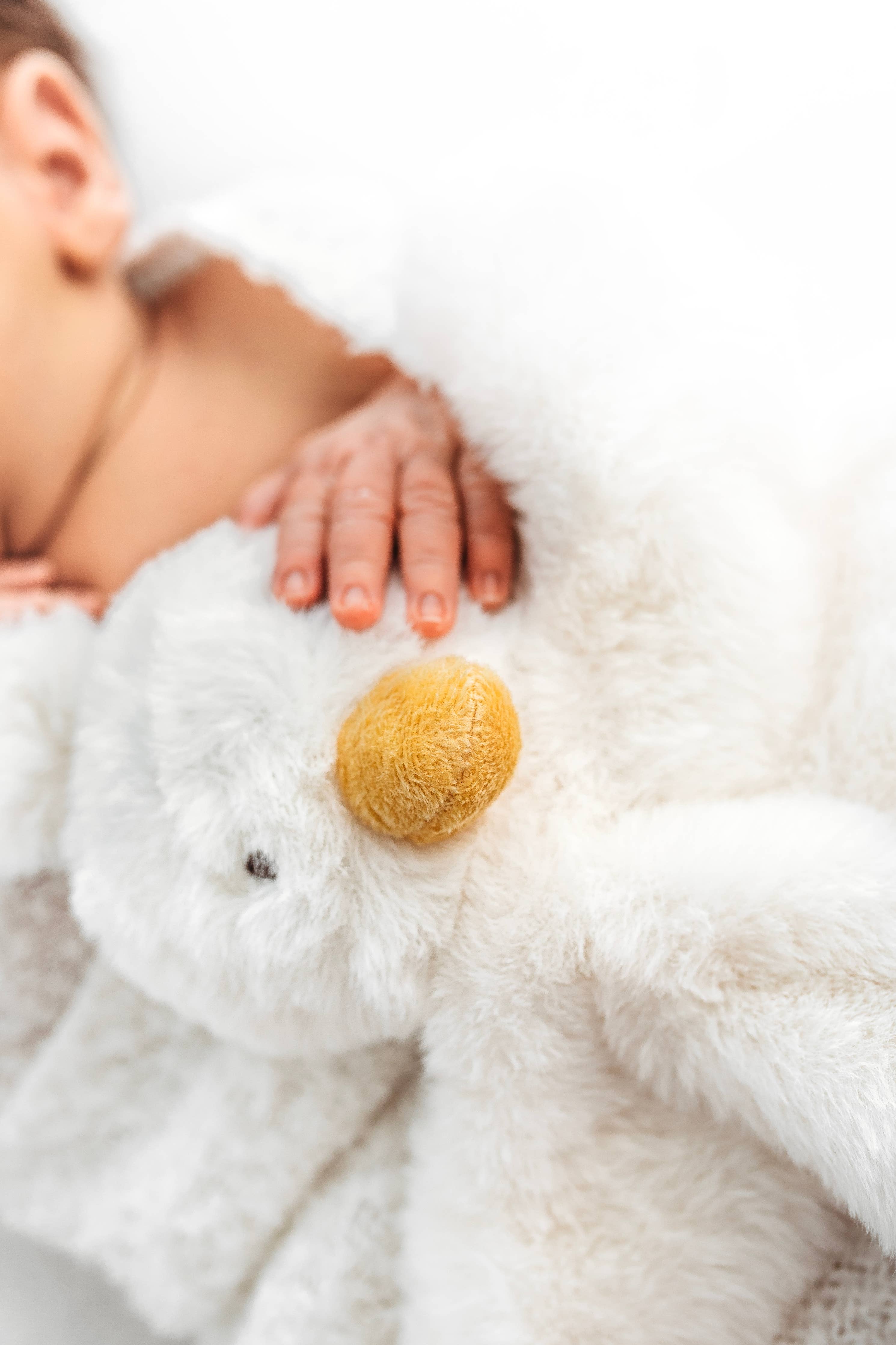 Little Goosey snuggle bear