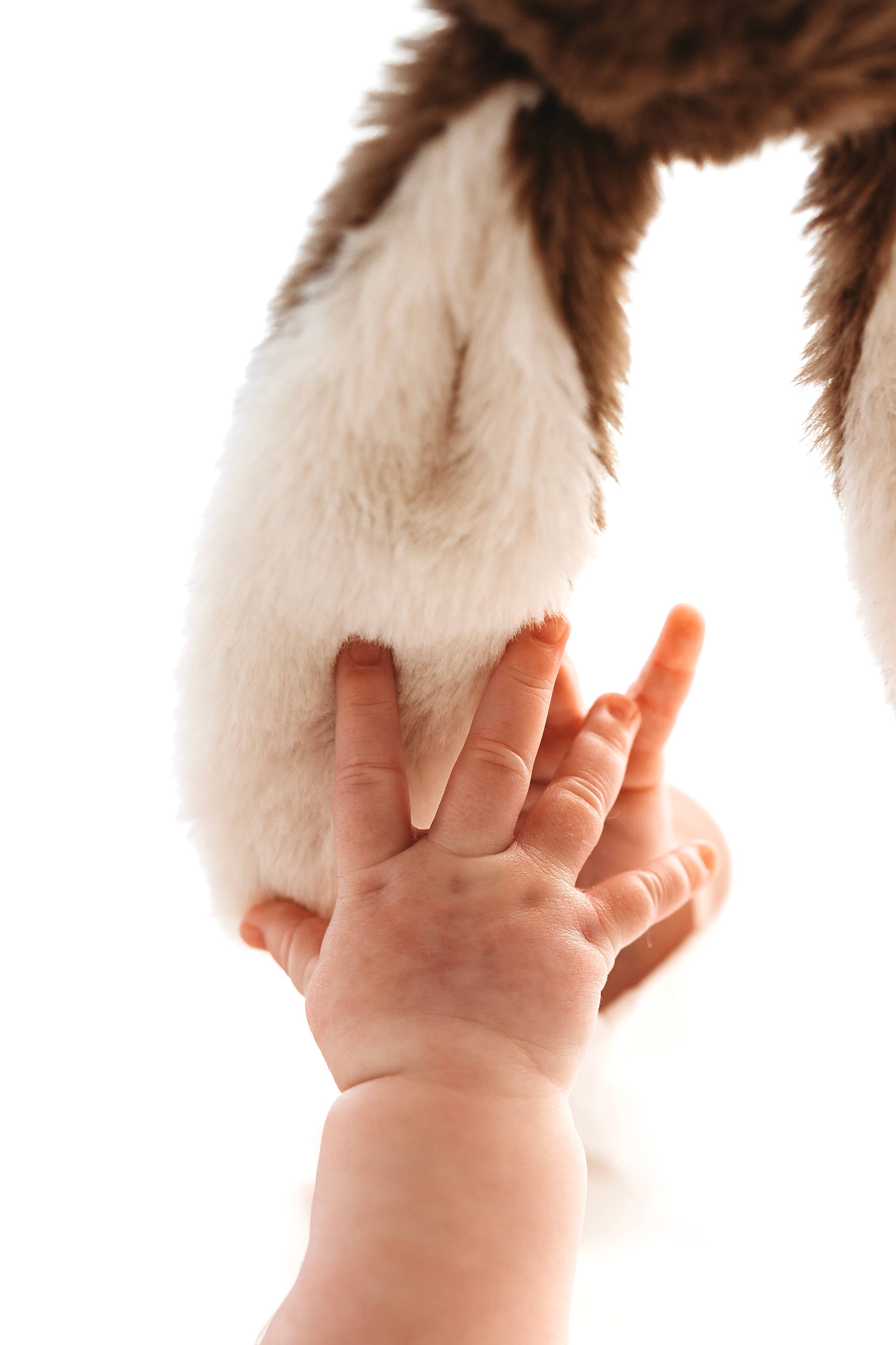 Brown Bunny snuggle bear