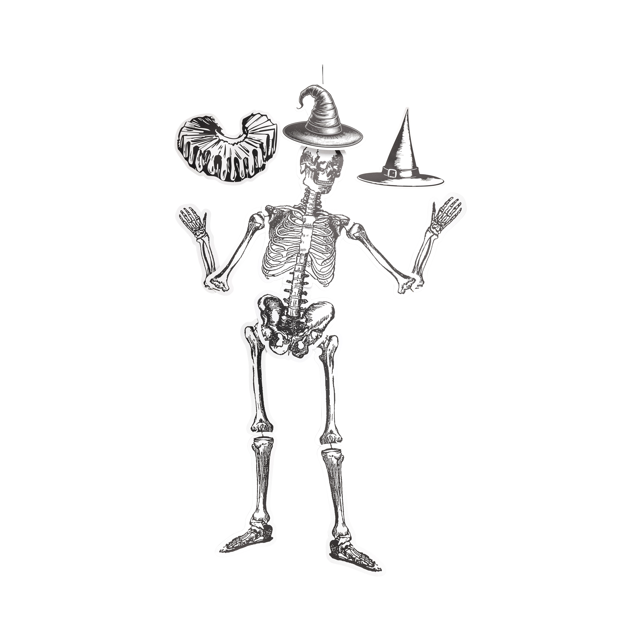 Dancing Large Scale Paper Skeletons