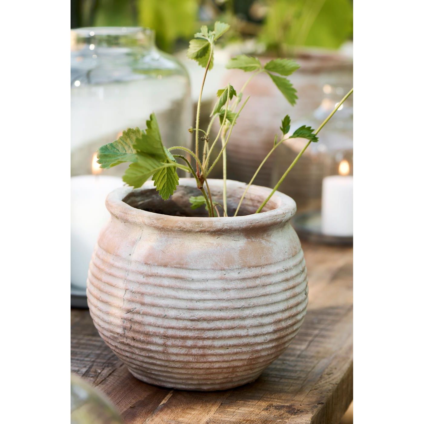 Margot Pot - TheGiftCoMalta