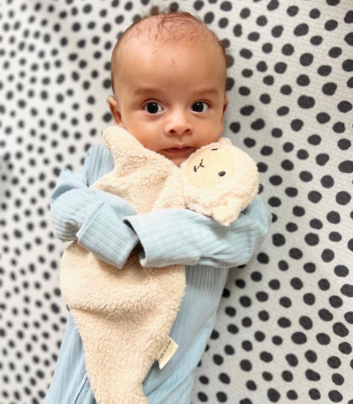 Cream sheep snuggle bear