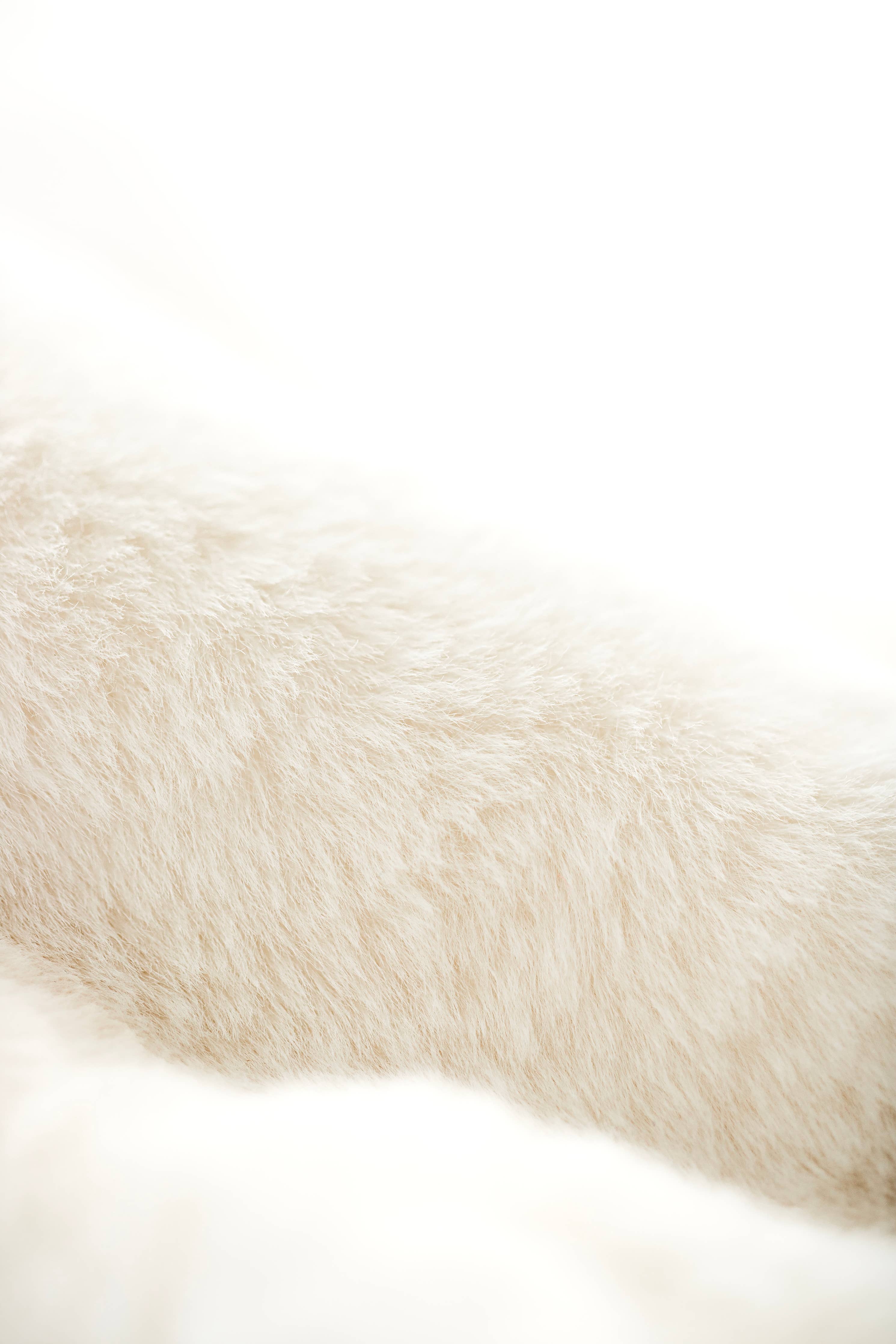 Little Goosey snuggle bear